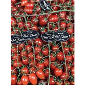 Tomatoes Cherry Red Desire 1st Class Kg Officeday