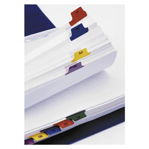 Divider Esselte Cardboard A4 12 Tabs